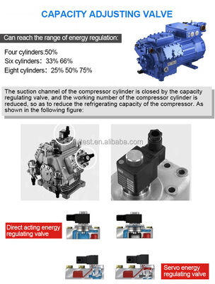 Sản xuất buồng khí hậu đi bộ môi trường dung tích lớn với phòng thử nghiệm nhiệt độ kiểm soát độ ẩm