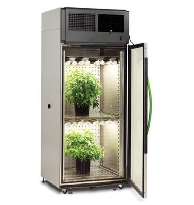 Giá LIYI của Buồng ươm trồng cây chiếu sáng thử nghiệm khí hậu nhân tạo môi trường 2 mặt 3 mặt để bán