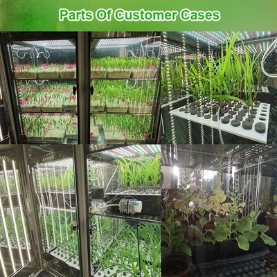 Giá LIYI của Buồng ươm trồng cây chiếu sáng thử nghiệm khí hậu nhân tạo môi trường 2 mặt 3 mặt để bán