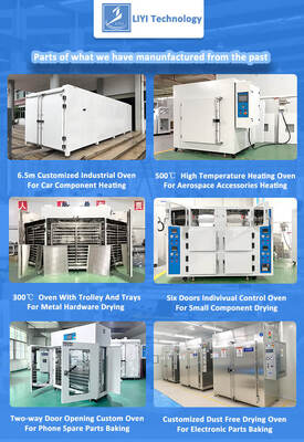 Liyi Customized High Temperature Big Curing Oven Hot Air Circulating Laboratory Heating Oven Industrial Drying Oven Price